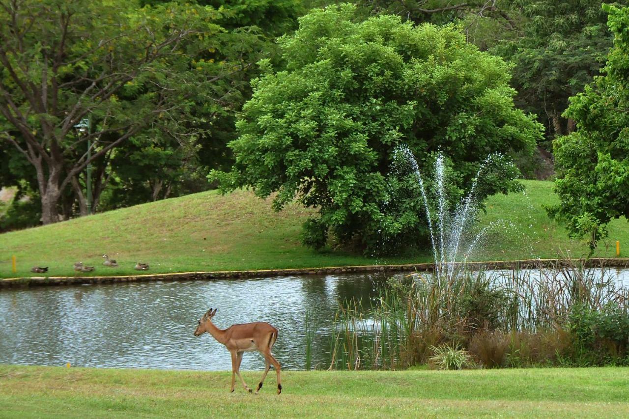Kruger Park Lodge Unit No. 524 Hazyview Dış mekan fotoğraf
